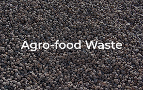 agrofoodwaste
