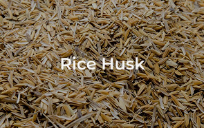 ricehusk